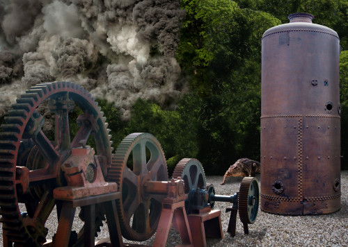 Steam