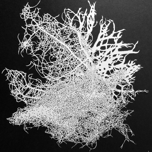 Tree Lichen