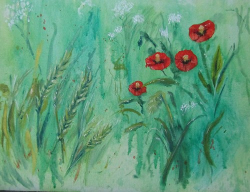 Poppies and barley