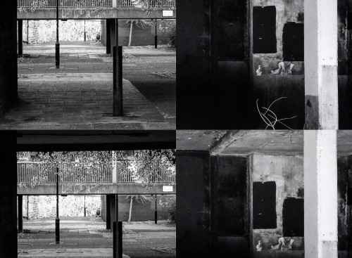 The Shelter