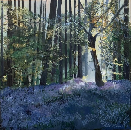 The Bluebell Wood