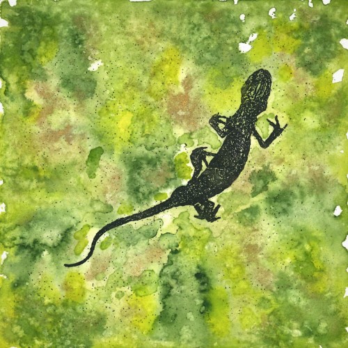 Newt I