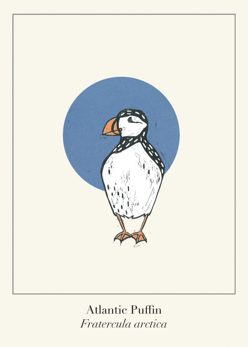 Protected Scottish Wild Animals- Atlantic Puffin 