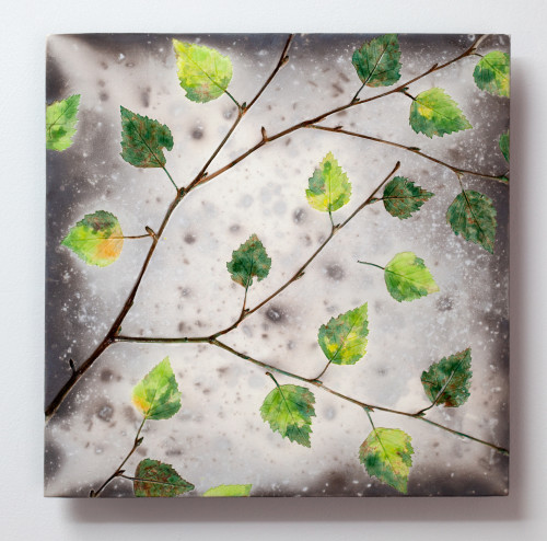 Spring Birch - Raku ceramic wall piece 2021