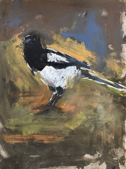 Magpie visit, ink wash, acrylic and soft pastel, March 2021 