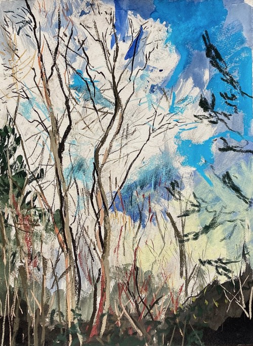 Windswept woodland