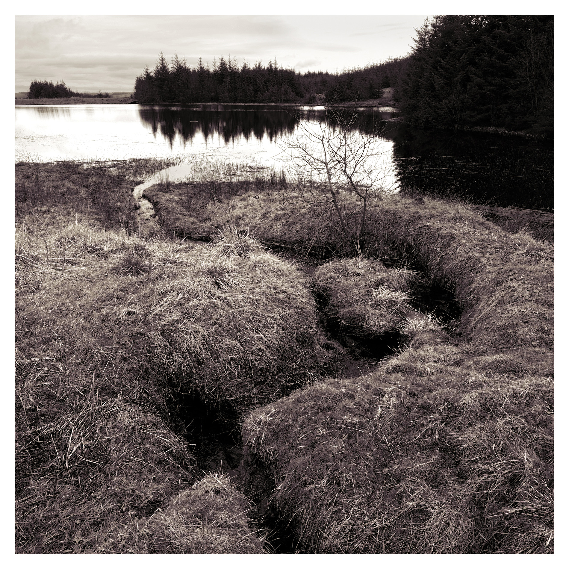 Ladymuir Reservoir  -  March 2021