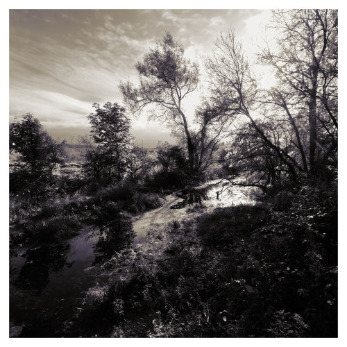 Black Cart Water, the Linwood Lade  -  October 2021