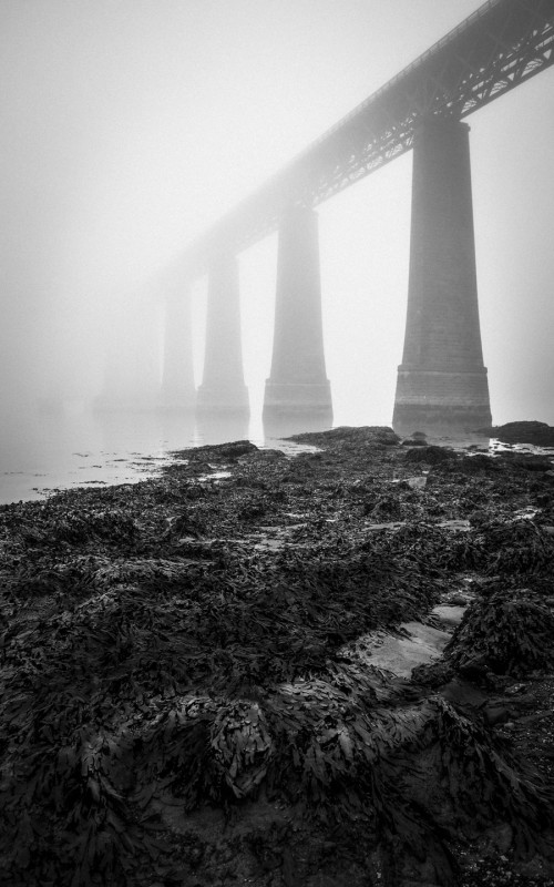 The drowned man