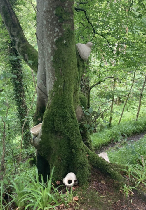 4 sound pots on tree