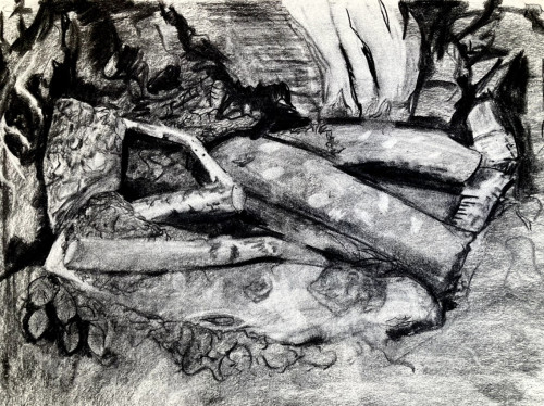 sleeping woman - charcoal