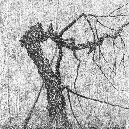 Glen Affric, January 2022