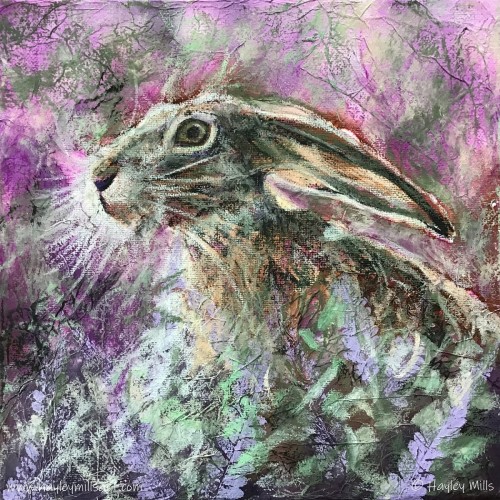 Hare in the Heather