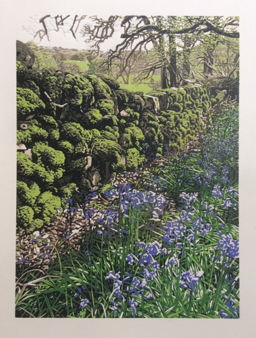 Bluebells and moss