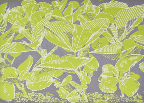 'Broad Bean Magic'