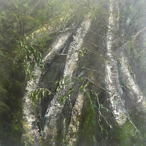 Shining Birches 120x120 oil, charcoal pigment, PVA on canvas 