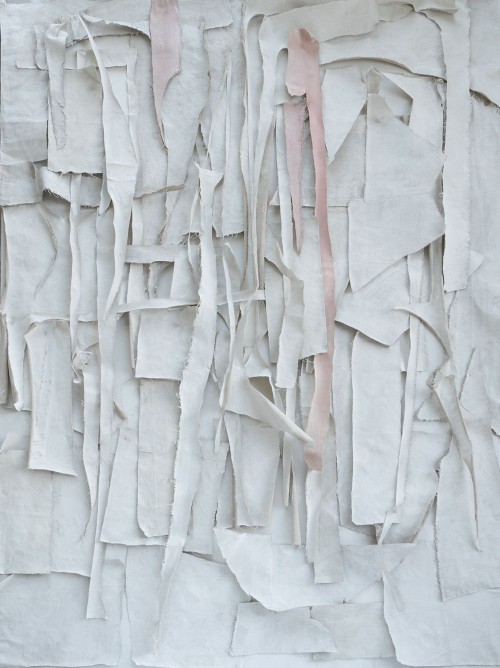 Shreds 