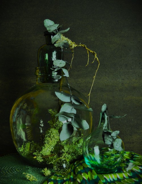 Green Glass & Lichen
