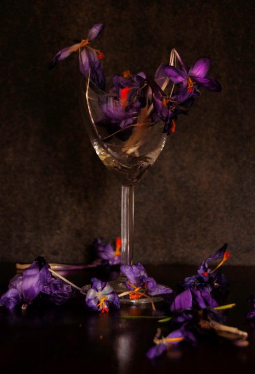 Trampled Crocus and broken wine glass