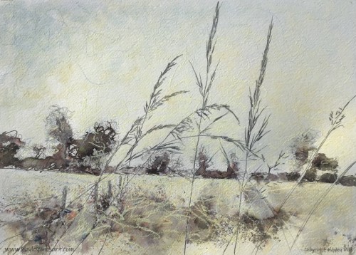 Winter Grasses