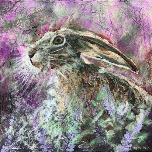 Hare in the Heather