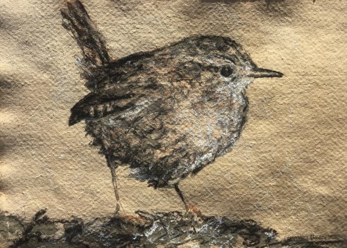 Wren