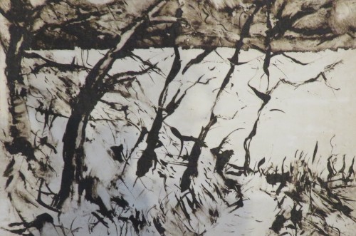The Trees Reach Out