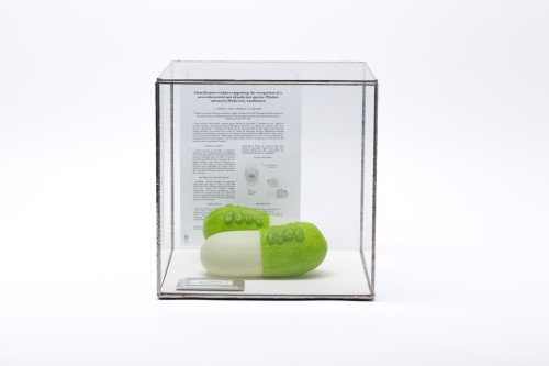 The Capsule Creatures