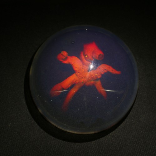 Space Octopus
