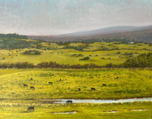 Cows Grazing at Palnackie