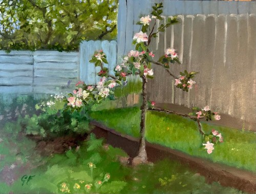 Little Apple Tree
