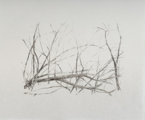 Fallen Ash I, 2025