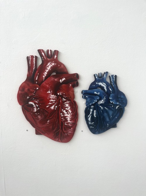 Vital Signs