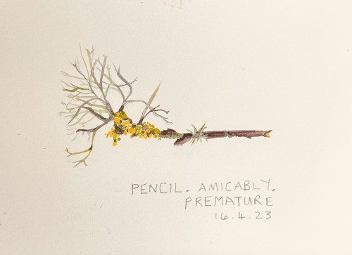 Pencil-Amicably-Premature