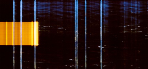 Layer by layer. Water, kelp