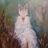 Carol Pawlus