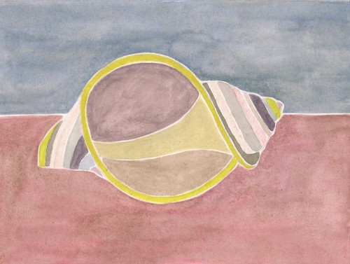 Shell