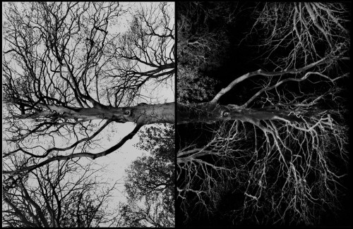 Devil's Mark (7&8)