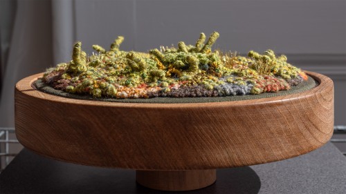 Mossy Microcosm II
