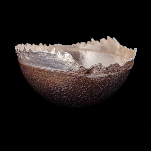 REMEMBER ME Vessel 01