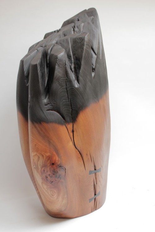 Wych Elm form with Bog Oak (yakisugi)