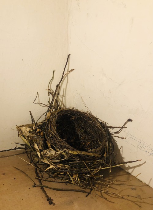 'Found' (nest, light)