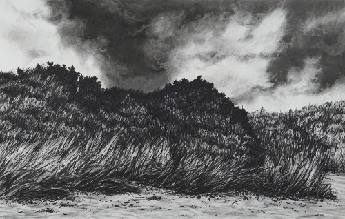 Windswept Dunes