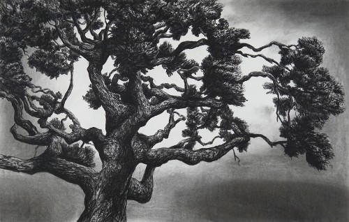 Rooted in Offering