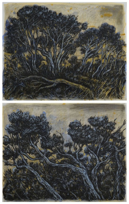 Place of Memory: Gorse