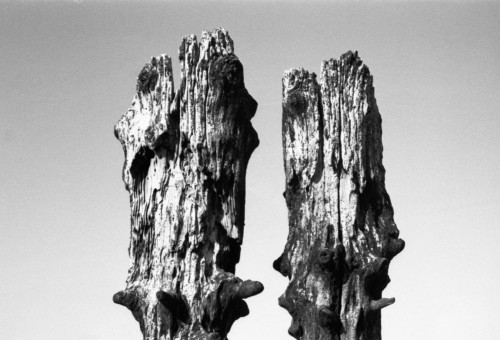 Wooden Figures - Carsethorn Beach