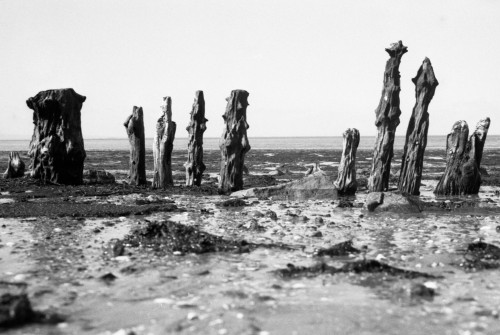 Wooden Figures 2 - Carsethorn Beach