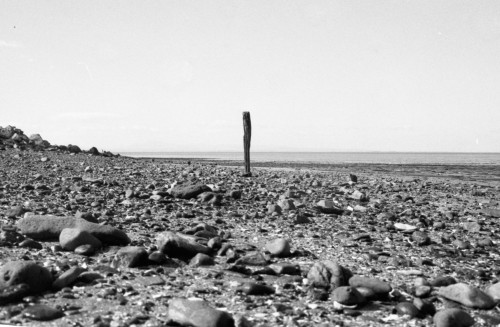 Lone Figure