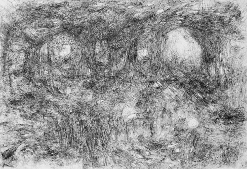 Wind in the trees 2025