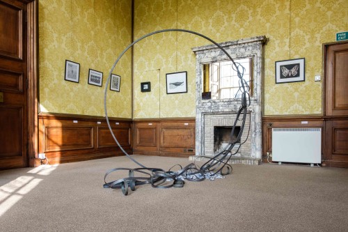 Future Landscapes: Blue Carbon Habitat